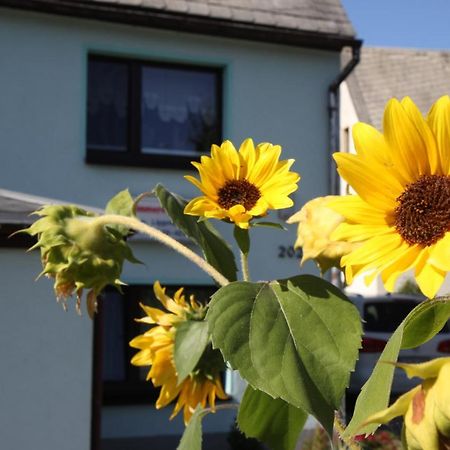 Ferienwohnung Lippmann Grosshartmannsdorf Luaran gambar