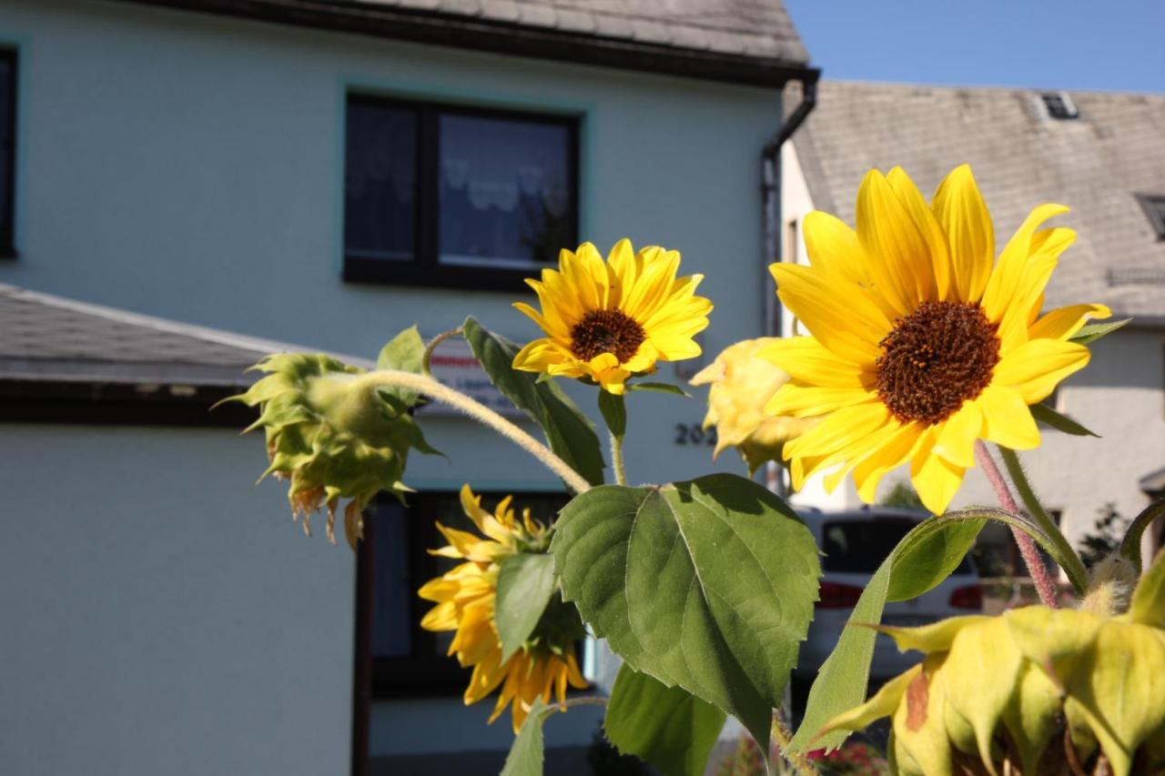 Ferienwohnung Lippmann Grosshartmannsdorf Luaran gambar